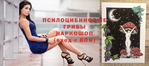 spice Арсеньев