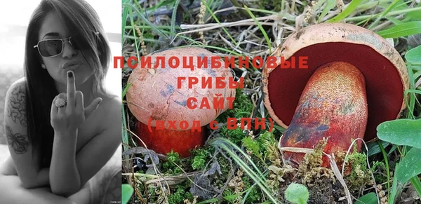 дмт Армянск